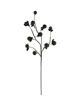 Black Stem Botanica 2720