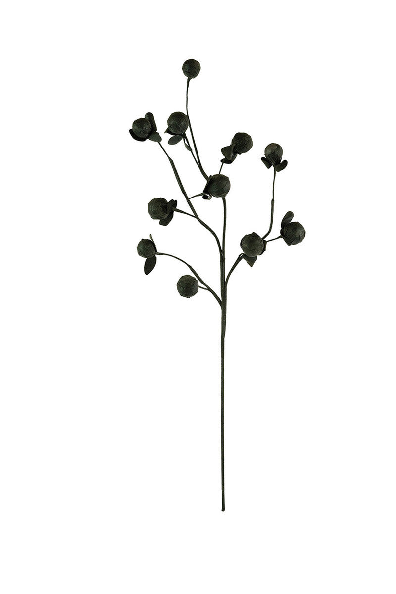 Black Stem Botanica 2720